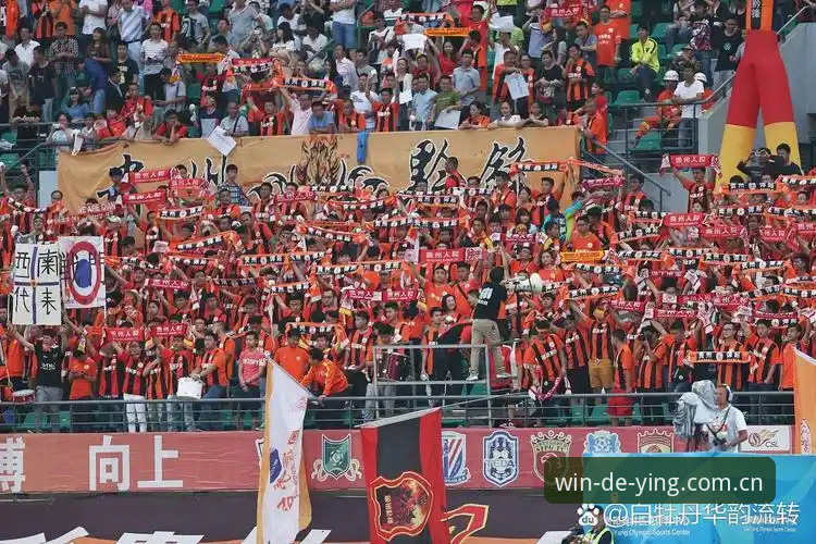 此域为本地主场2026新版全面解析：从用户反馈看德赢体育平台的本地化升级路径